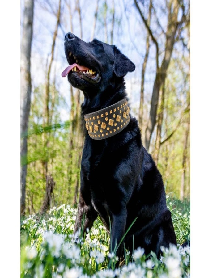 Pet Believe طوق كلاب مرصع بالمسامير من الجلد الطبيعي بعرض 2 بوصة من دوغ تراست، مناسب للكلاب متوسطة وكبيرة الحجم، طوق كلاب متين وفريد من نوعه مرصع بمسامير (أسود، يناسب محيط الرقبة: 17-21.5 بوصة). - Image 5